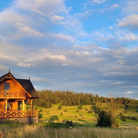 Hamajdowka Villa Zubrzyca Gorna Ngoại thất bức ảnh