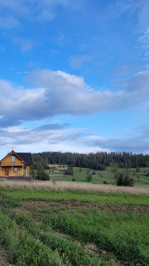 Hamajdowka Villa Zubrzyca Gorna Ngoại thất bức ảnh